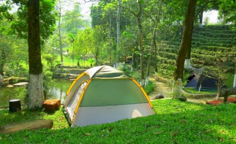 Hòa mình vào thiên nhiên ở khu cắm trại Đường Tâm Phan   