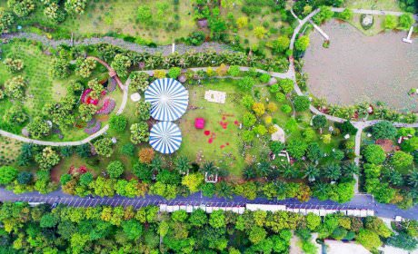 Have a picnic at Green city Ecopark Hanoi