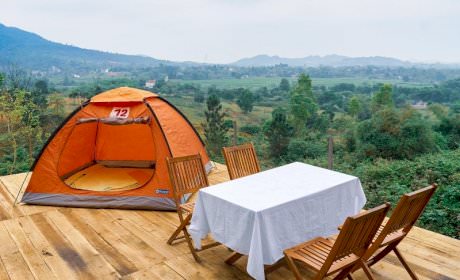 Experience going picnic at Son Tinh Camp