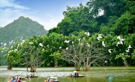 Exploring Thung Nham Bird Park in Ninh Binh