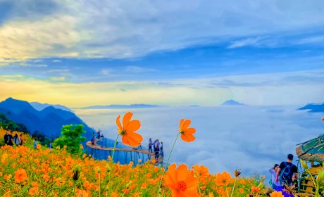 Experience hunting cloud in Hang Kia - Pa Co, Hoa Binh
